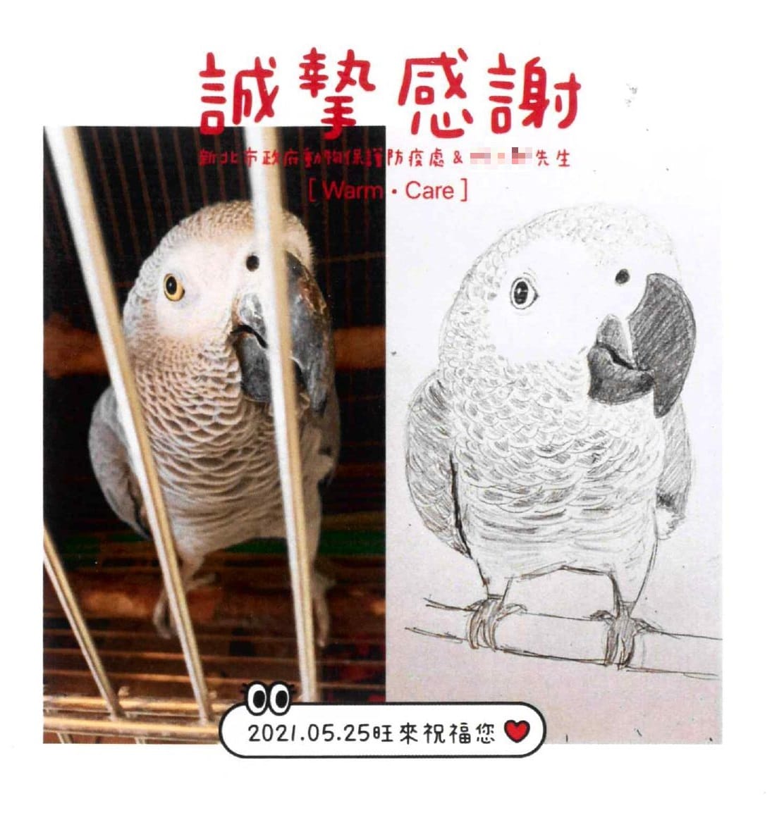 灰鸚鵡「旺來」的小姐姐特別製作手工卡片贈送店家與動保處人員，感謝對鳥寶悉心照料。 圖：新北市動保處提供