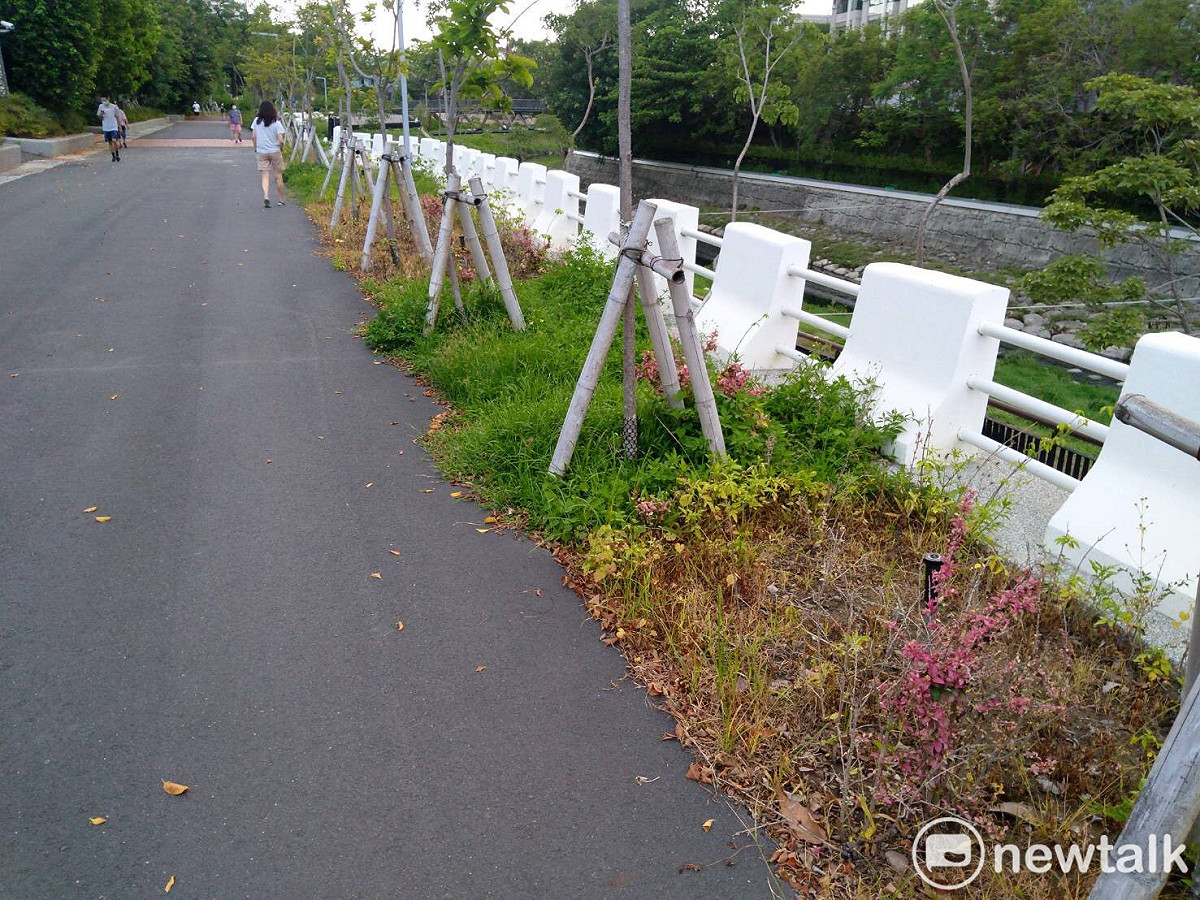 台南市竹溪生態公園經過整治之後周邊環境煥然一新，成為市民休閒運動的最愛，但台南市議員李啟維發現本應採人工除草的場地維護工作竟然使用除草劑，嚴重破壞當地生態。 圖：李啟維提供