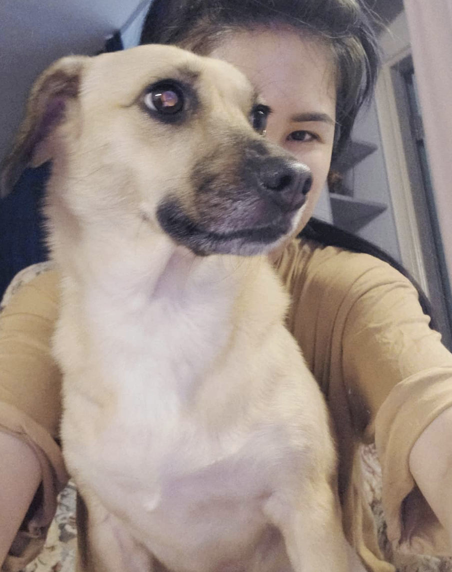 丹妮婊姐與狗狗胖皮。 圖：翻攝IG／丹妮婊姐