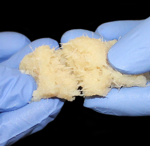 圖為骨骼修復產品「FiberCel」。 圖：翻攝自Aziyo官網