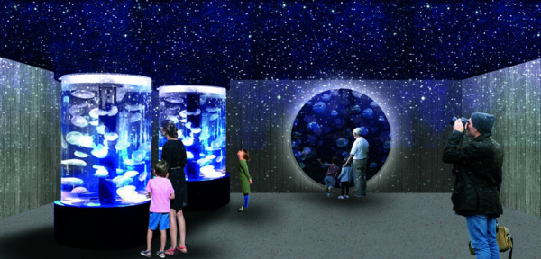 基隆「潮境智能海洋館」將於10月開幕。 圖：國立海洋科技博物館／提供