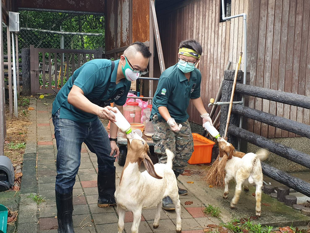 高市觀光局製作的「線上動物園」。 圖：高雄市政府提供