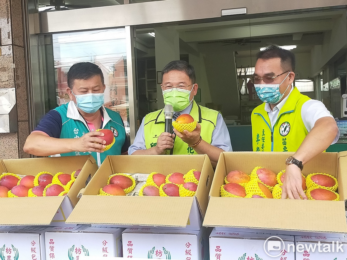 民進黨全國主委聯誼會會長邱建富（中）日發起相挺芒果農活動，與台中市主委李天生（左）、苗栗縣主委李貴富（右）一起舉行記者會。 唐復年/攝
