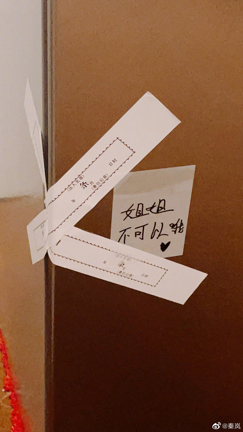 秦嵐昨日晚間曬出冰箱被貼上封條的照片。 圖：翻攝自秦嵐微博