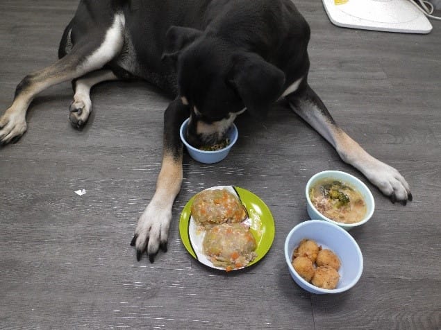 飼主準備寵物鮮食應注意營養及避開過敏源，毛寶貝才能吃的安心和健康。 圖：新北市動保處提供