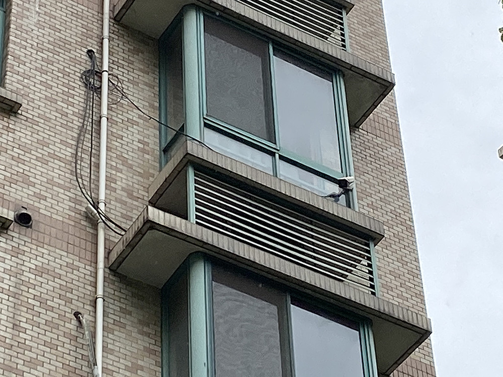 502室和602室因「漏水問題」發生了爭執，502室竟打開震樓器報復。