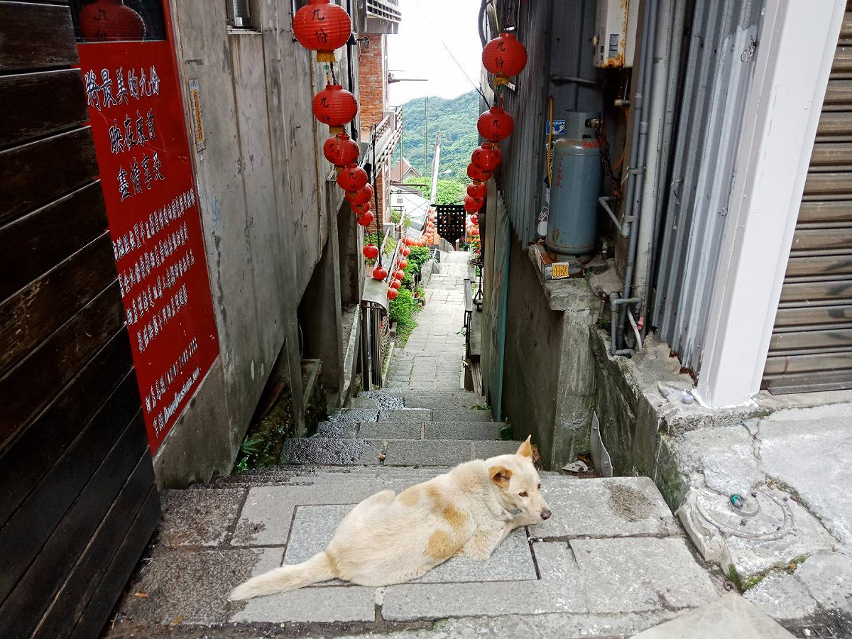 觀旅局呼籲，疫情仍在三級警戒，民眾還是盡量減少外出、降低移動，才有助於整體疫情持續往好的方向走。 圖：新北市觀旅局提供