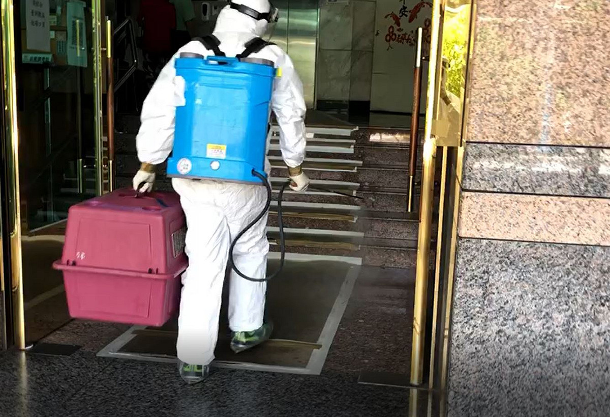 沿途邊走邊消毒周邊環境。  圖：新北市動保處提供