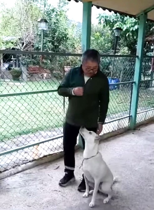 109年9月至110年3月AKI在愛犬訓練學校上課(取自B&amp;W黑與白愛犬訓練學校)。  圖：新北市動保處提供