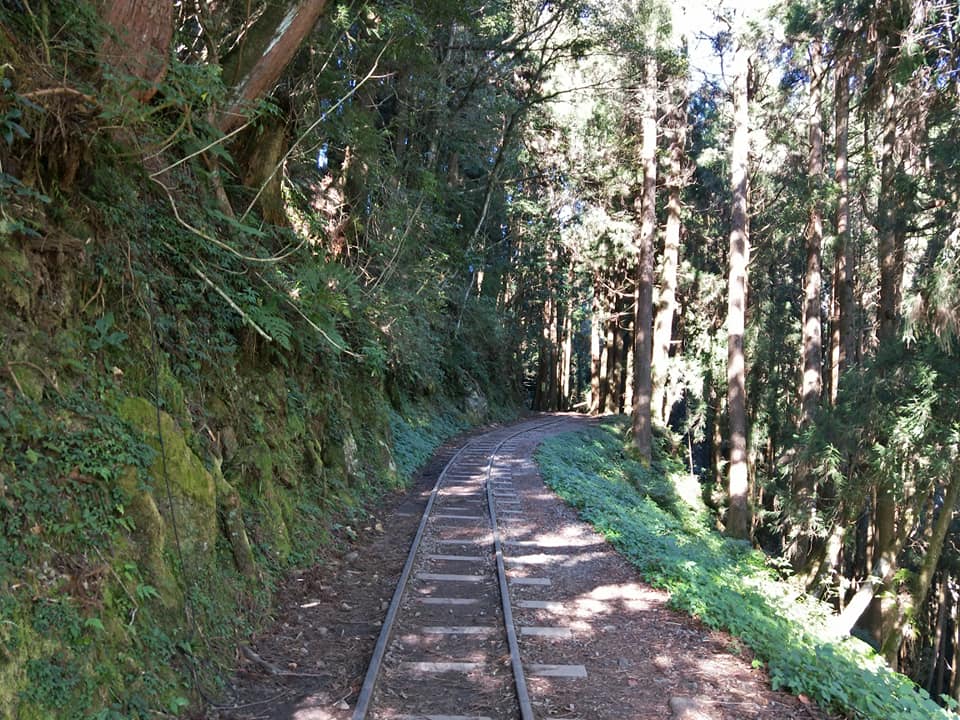 阿里山國家風景管理處提醒，阿里山鄉鄒族部進出之25條步道不解封，遊客請勿進入。（圖為特富野古道） 圖：翻攝自阿里山國家森林遊樂區臉書