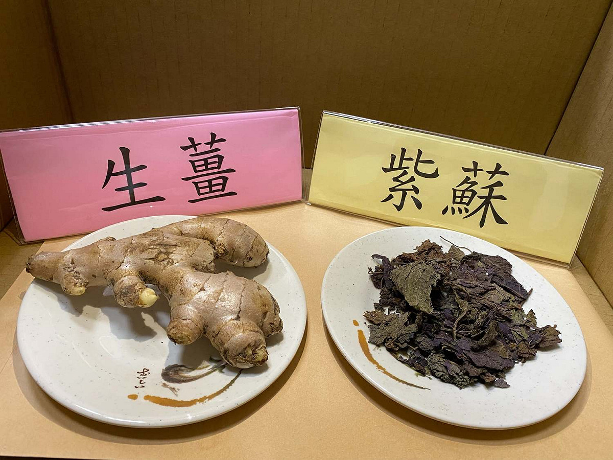 中醫師表示，紫蘇、生薑用文火煎煮後服用，可以減輕疫苗注射造成的發燒疼痛症狀。 圖：翻攝自衛生福部新營醫院臉書