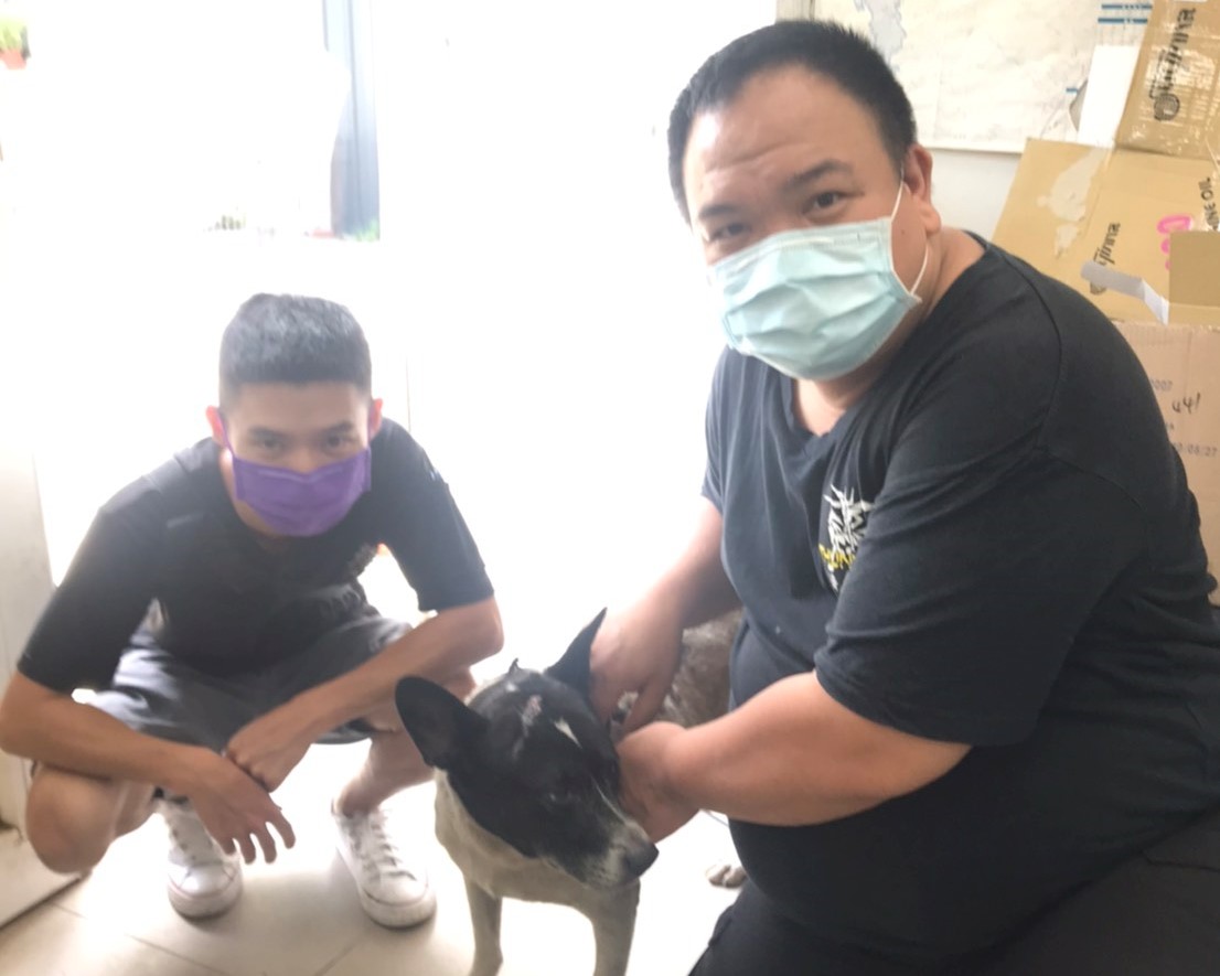 八里動物之家成功認養高齡犬。  圖：新北市動保處提供