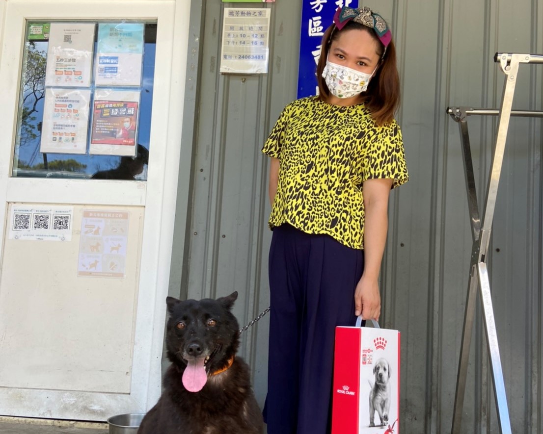 瑞芳動物之家成功認養米克斯成犬黑妞。  圖：新北市動保處提供
