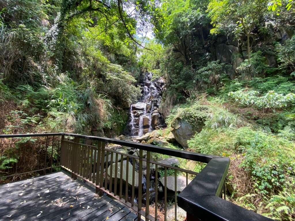 情人瀑布銀白涓絲奔騰而下。 圖：台北市大地工程處／提供