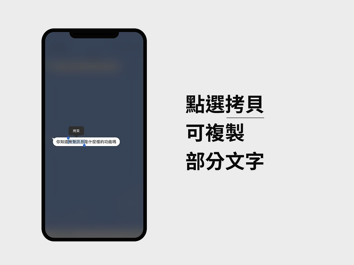 LINE聊天室開放用戶複製部分對話文字。 圖：LINE／提供
