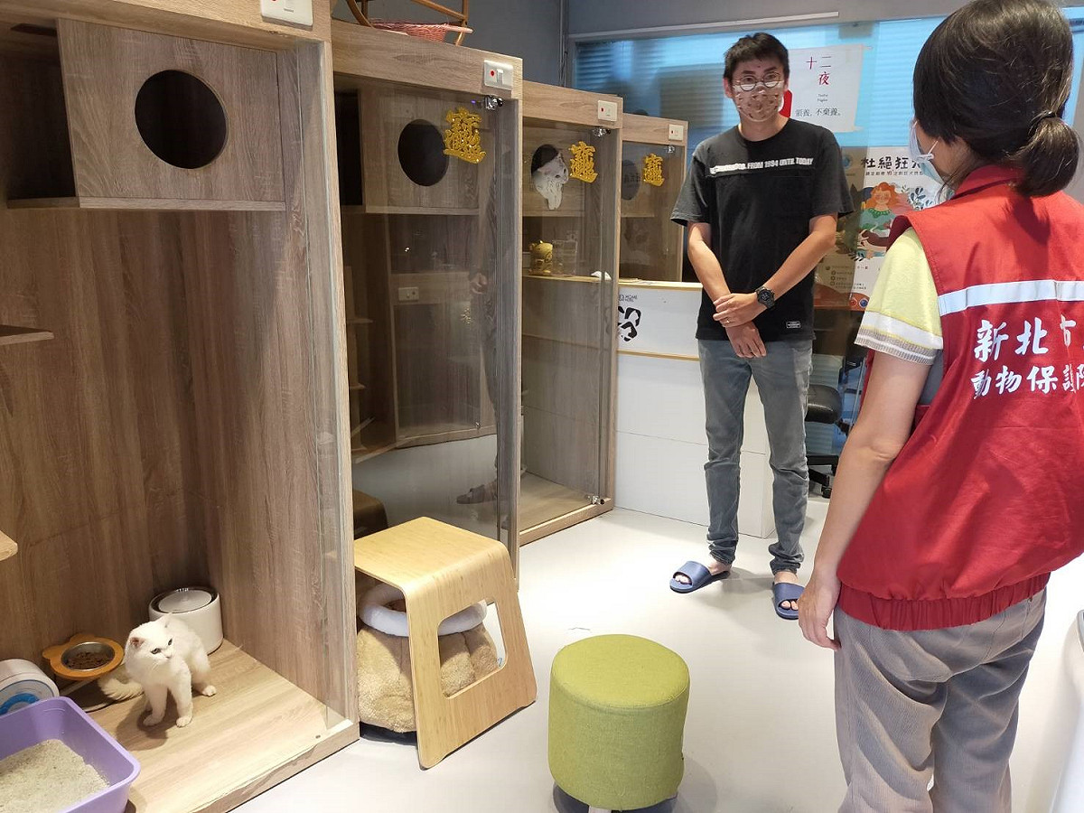 動保處人員不時赴寵物旅館探視咪咪，業者分享照顧共居寵物的小故事。  圖：新北市動保處提供