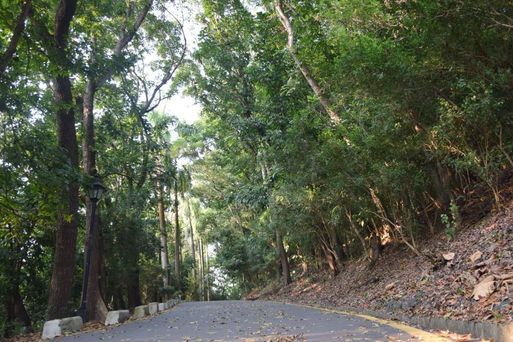 立法院民主議政園區後山步道。 議蘆會館/提供