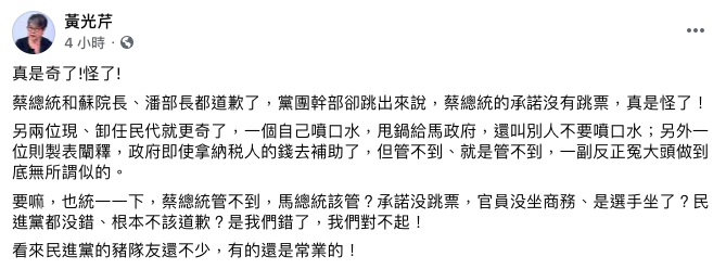 黃光芹在臉書開轟，批民進黨豬隊友一堆。 圖：翻攝自黃光芹臉書