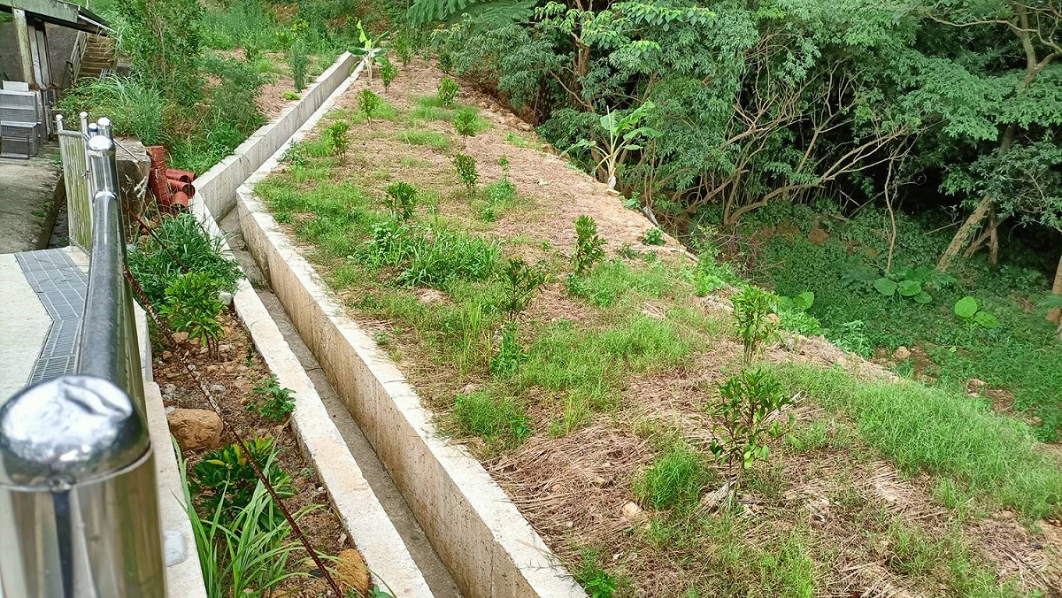 三芝動物之家新施作的排水溝，增加洩水速度。  圖：新北市動保處提供