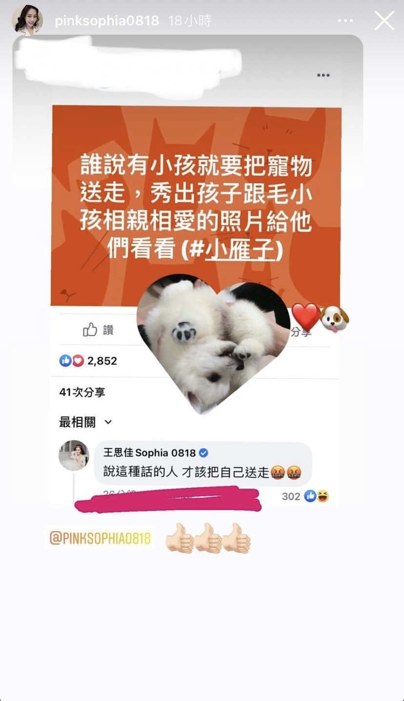 王思佳霸氣回擊，引起全網讚爆。 圖：翻攝自IG