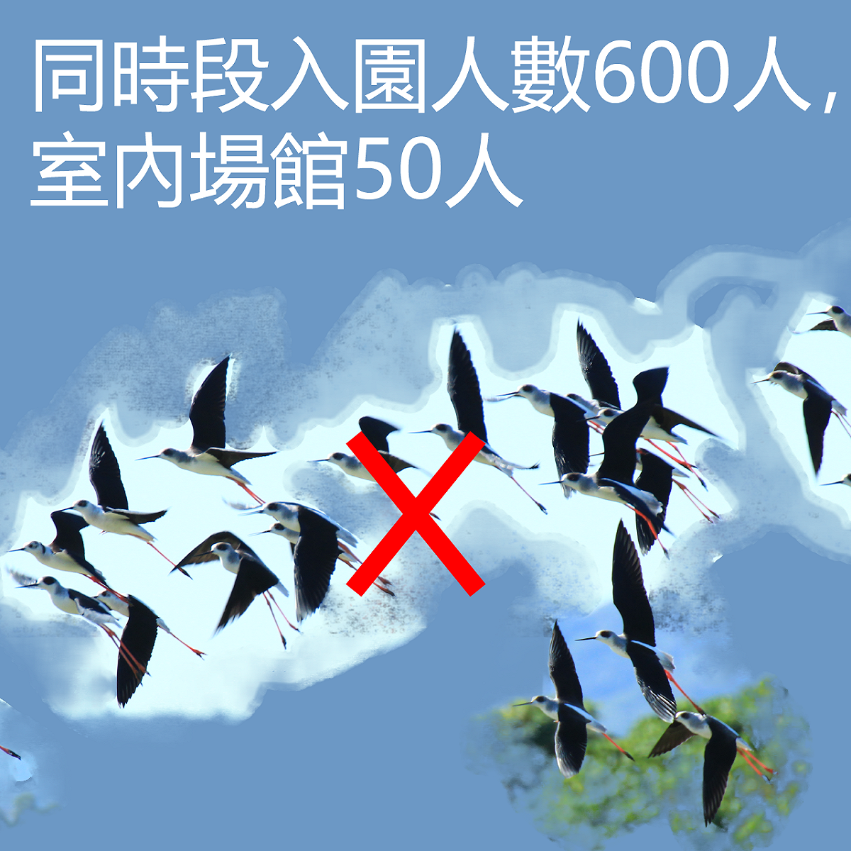 園區公告：容留人數。 圖：台北市關渡自然公園提供