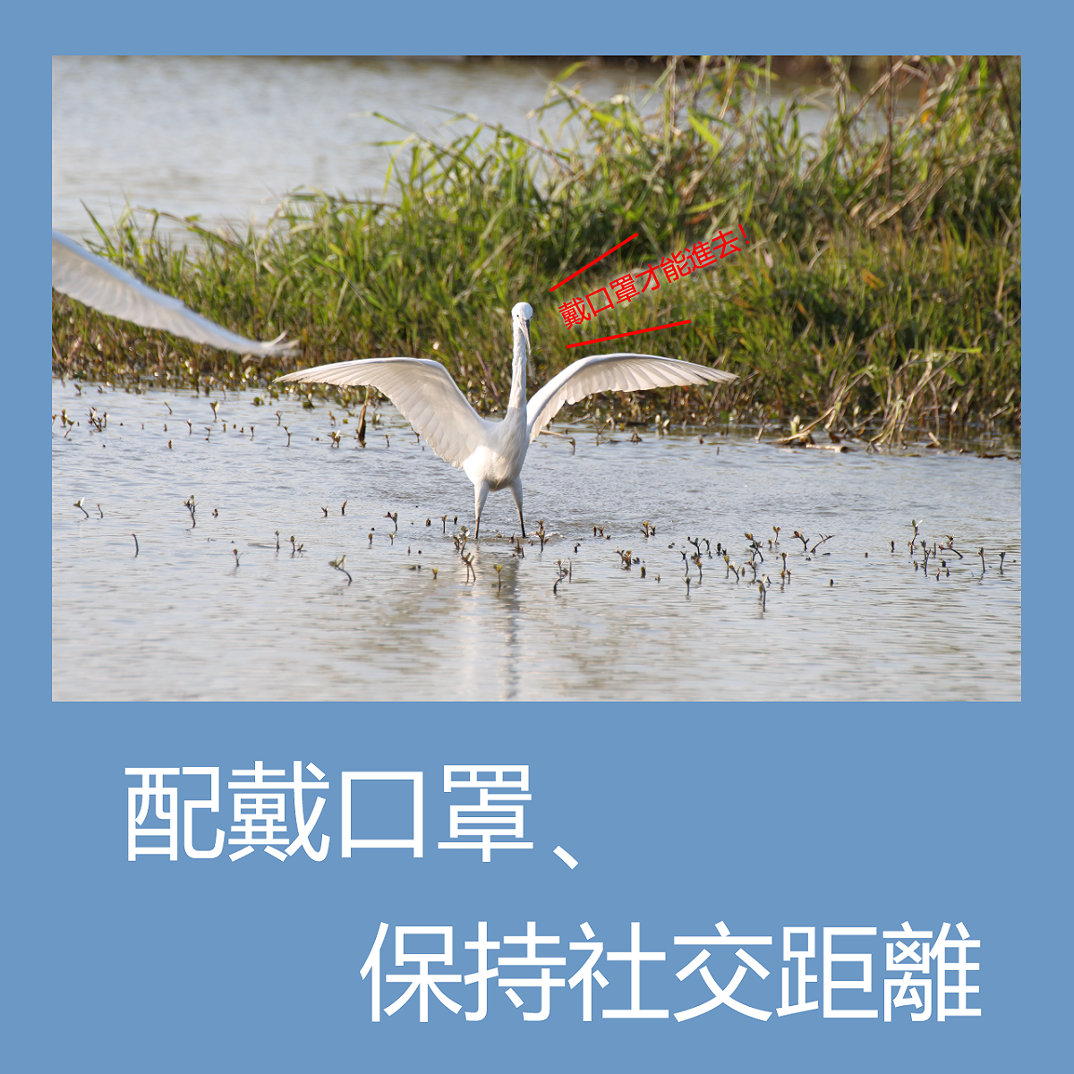 園區公告：保持社交距離。 圖：台北市關渡自然公園提供
