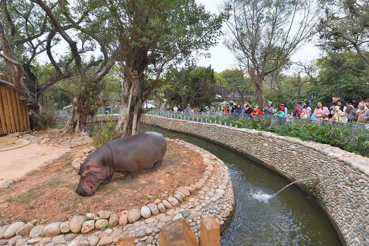 新竹市立動物園 圖：新竹市立動物園／提供