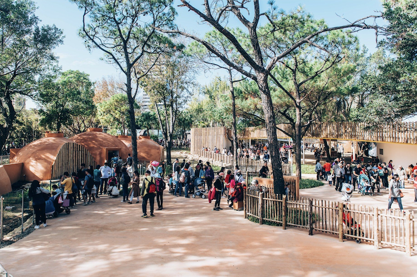 新竹市立動物園 圖：新竹市立動物園／提供