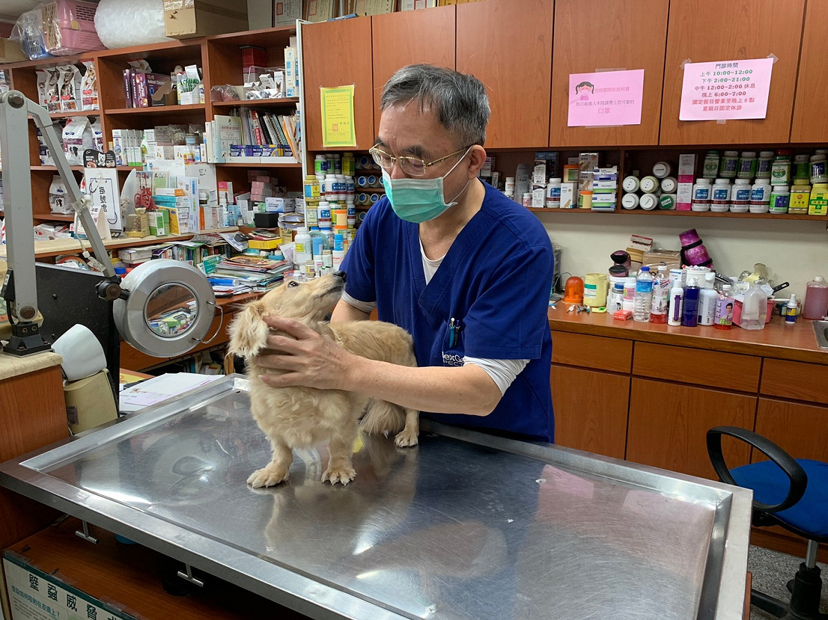 飼主定期帶寵物去健檢，關心毛寶貝的身體狀況。 圖：新北市動保處提供