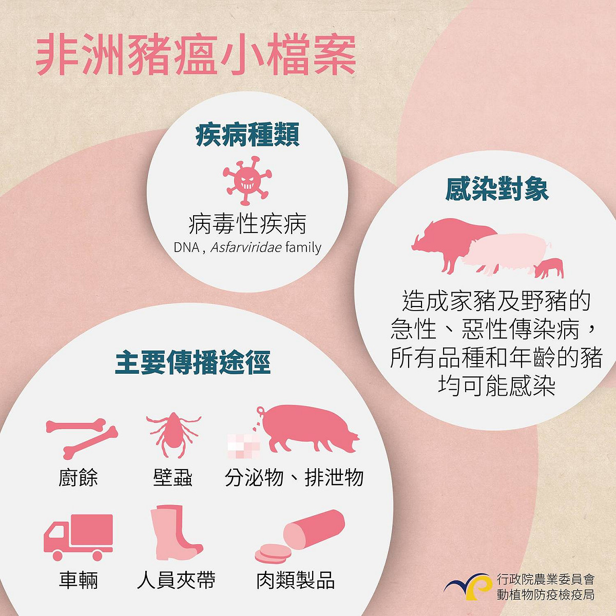 非洲豬瘟簡介。 圖：防檢局／提供
