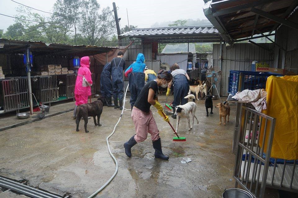 張媽媽流浪動物之家的人員加強室外環境清消 (取自張媽媽流浪動物之家粉絲專頁)。  圖：新北市動保處提供