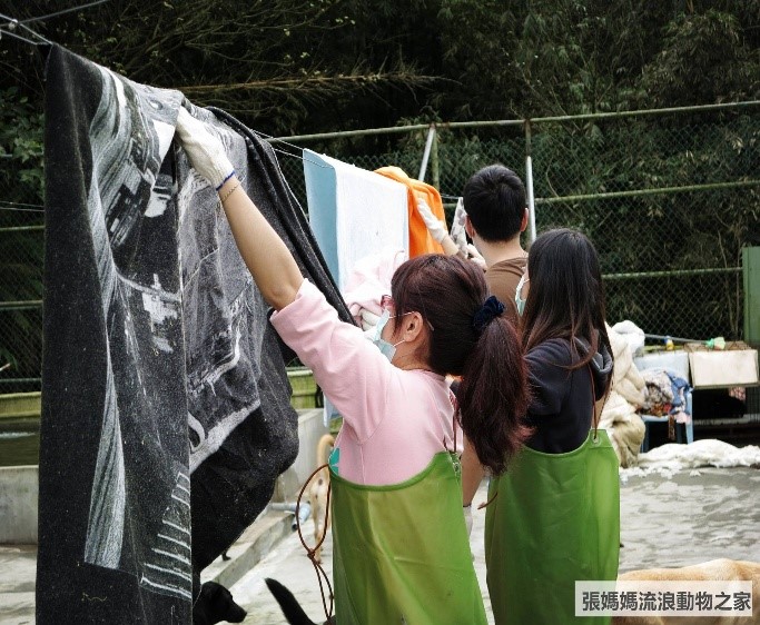 張媽媽流浪動物之家的人員加強犬貓用品清潔 (取自張媽媽流浪動物之家粉絲專頁)。  圖：新北市動保處提供