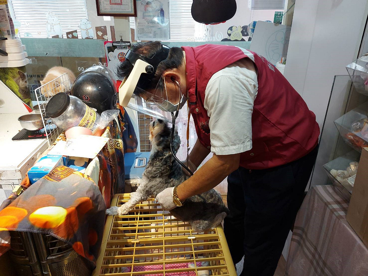 動保處獸醫彭明發至新莊頭等艙寵物旅館，巡檢寵物健康狀況，同時檢查ECHO的健康情形。 圖、新北市動保處提供