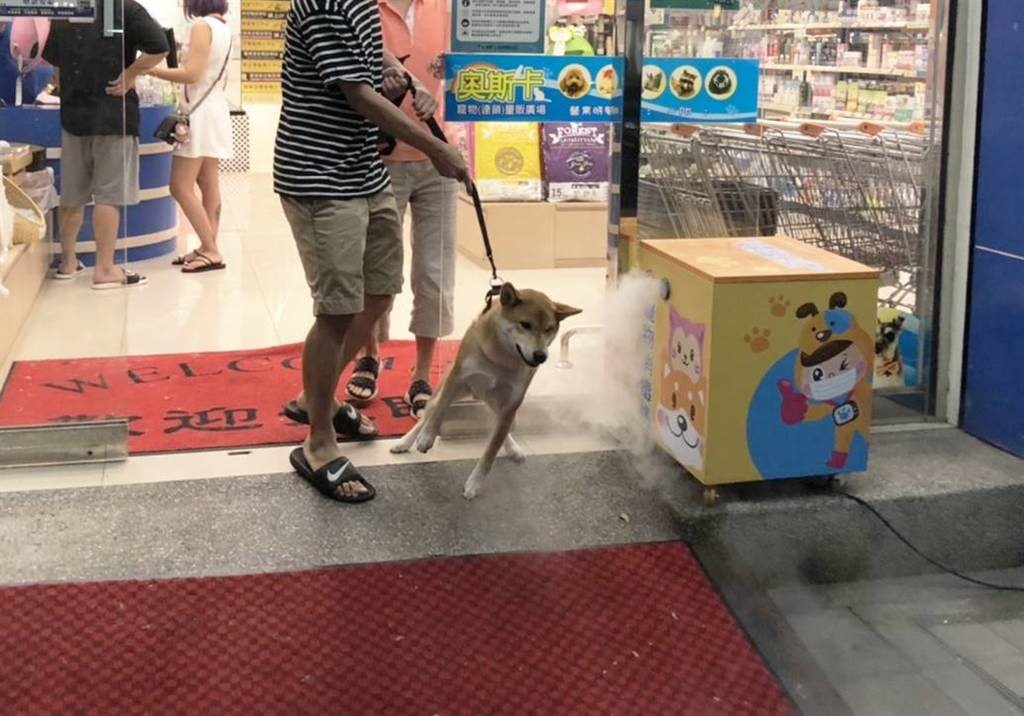 飼主可就近帶毛寶貝至「寵物健康生活站」進行全身皮毛消毒。 圖：新北市動保處提供