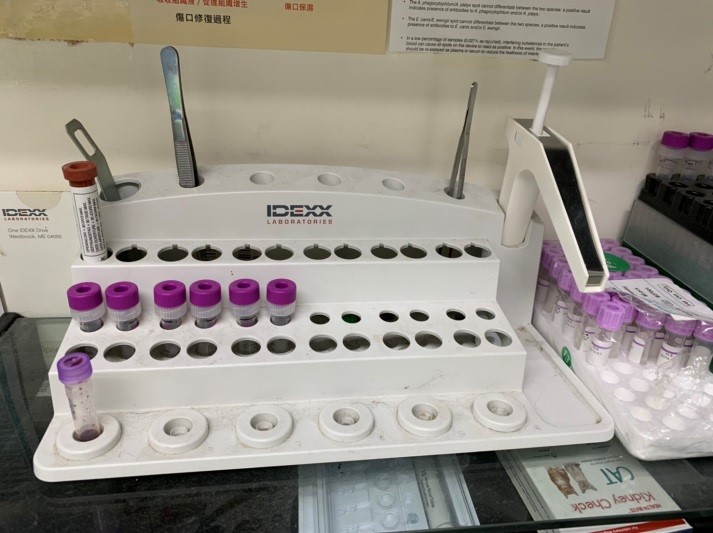 智能AI輔助分析檢驗檢體提升獸醫師診斷效率。  圖：新北市動保處提供
