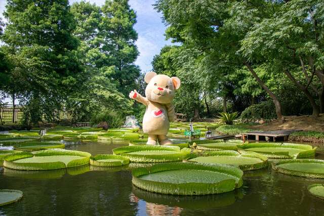 泰迪樂活熊。 圖：取自桃園官網導覽網