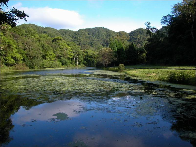 原核准明後天到訪福山植物園者，因氣候影響可延後入園。 圖：取自福山植物園官網