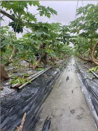 經過2天的豪雨已讓各地農損已經突破1.8億萬元！ 圖：翻攝自陳吉仲臉書