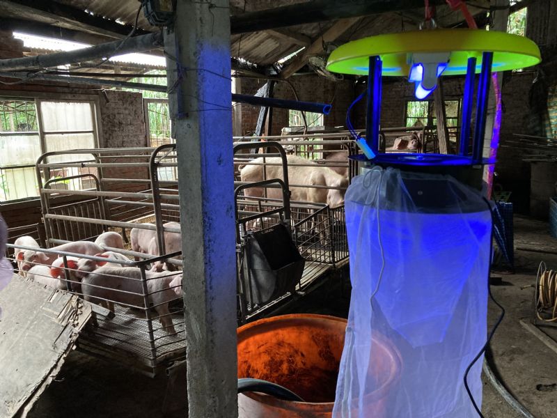 今台灣出現今年首例日本腦炎流行期，疾管署表示個案住家附近有豬舍及水田等高風險場所，研判於居住地附近感染可能性較高。（圖為環境示意） 圖：翻攝自台南市衛生局官網