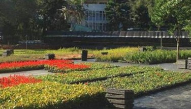 新北市政府三峽「大埔苗圃」園區。 圖： 新北市綠美化環境景觀處提供