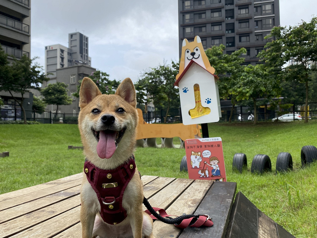 新北市8月9日正式啟用「新北可愛柴」造型的狗便（袋）箱，提供忘記攜帶清便工具的民眾使用，也呼籲大家遛毛小孩的同時別忘了維護環境清潔。 圖：新北市環保局提供