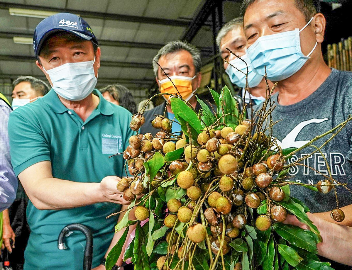 嘉義縣長翁章梁（左）到各地農田視察農損情形。 圖：取自翁章梁臉書