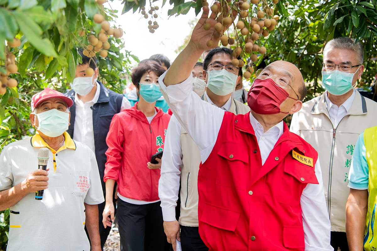 行政院長蘇貞昌至台南市關心0806豪雨致龍眼農損情形。 圖：行政院提供