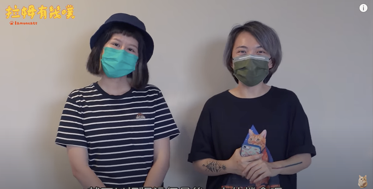 貓咪頻道「拉姆有幾噗」宣布停更影片。 圖：翻攝YT/「拉姆有幾噗」