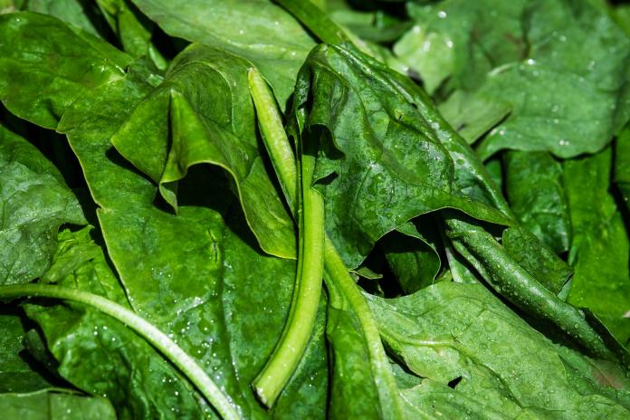 《小楊聊美食》分享「菠菜拌豆皮」食譜，吃起來口感比炒菠菜更脆又鮮甜。 圖：擷自pixabay