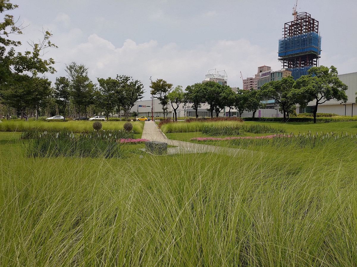 柔軟又具韌性的植栽讓人身心放鬆。 圖：北市公園處／提供