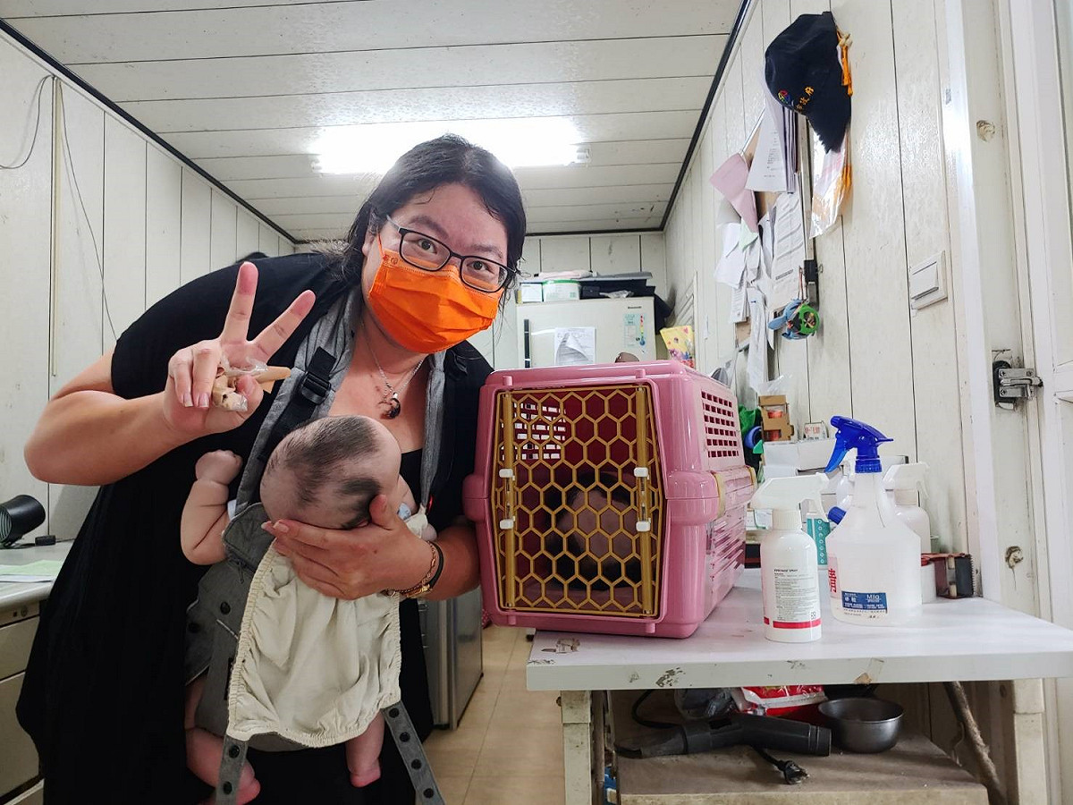 香片與新飼主合影。 圖：新北市動保處提供