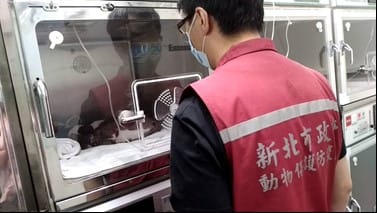 動保處人員趕往動物醫院訪視。  圖：新北市動保處提供