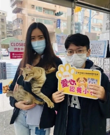 民眾至寵物店認養毛寶貝。 圖：新北市動保處提供