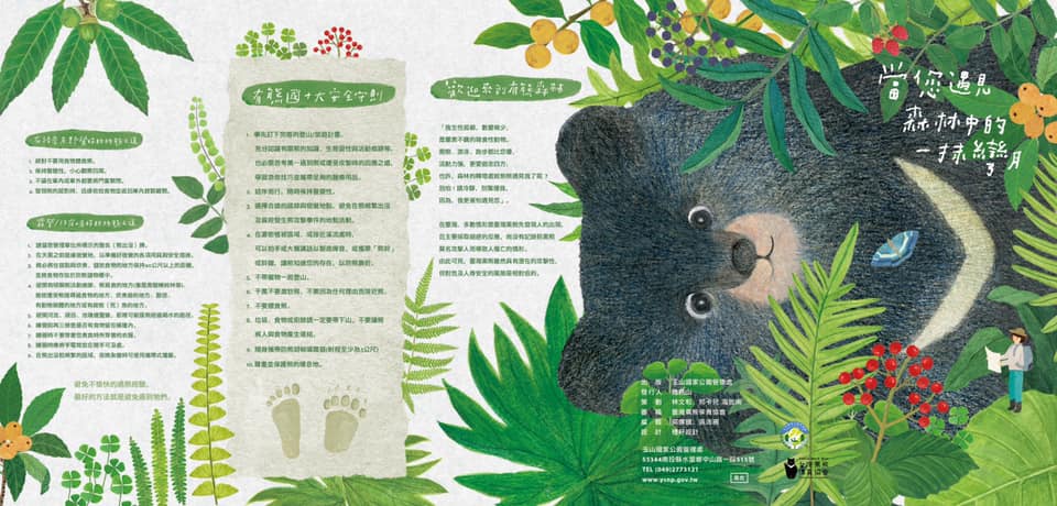 玉管處指出，疫情影響，遊客減少而動物自由活動，有民眾發現黑熊出沒，呼籲民眾進入國家公園結伴而行。 圖：取自玉山國家公園臉書